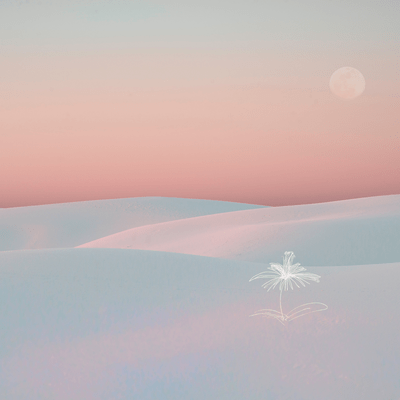 命の種のジャケット写真