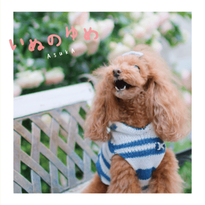 A Dog's dream (Acoustic) Front Cover