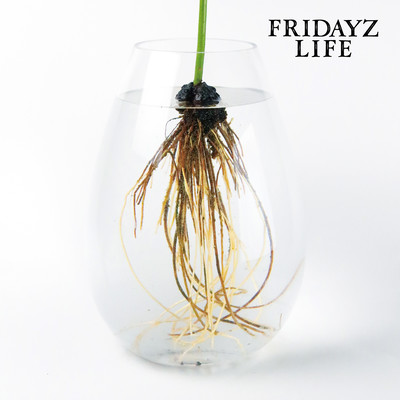 LIFE Front Cover