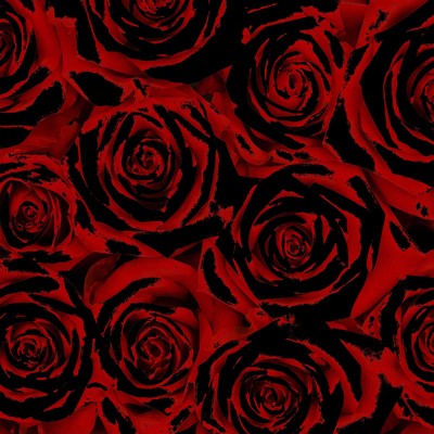 revolution Front Cover