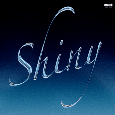 Shiny Front Cover