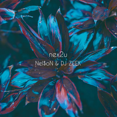 nex2u Front Cover