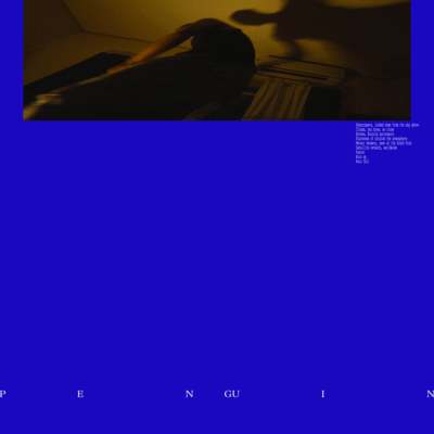 Penguin Front Cover