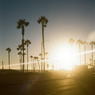 Rise and Shineのジャケット写真