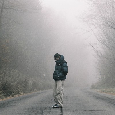 Landerのジャケット写真