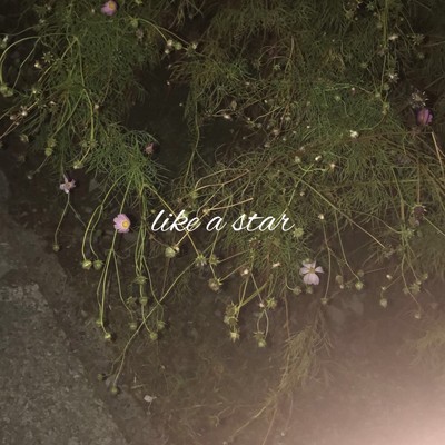 Like a star Front Cover