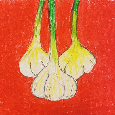 Garlic Holic Front Cover