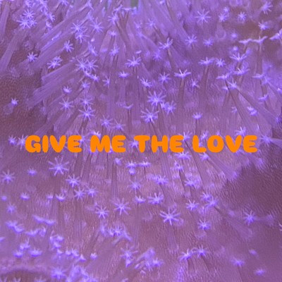 Give me the loveのジャケット写真