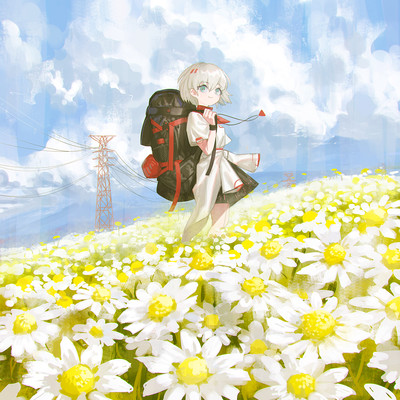Chamomile Front Cover