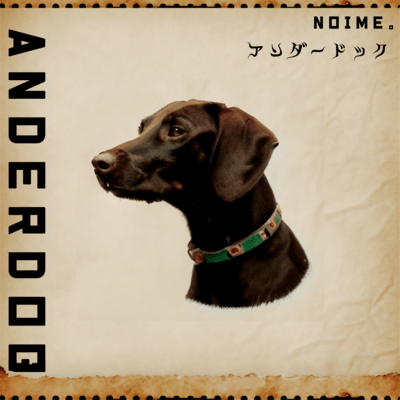 Ander Dog Front Cover