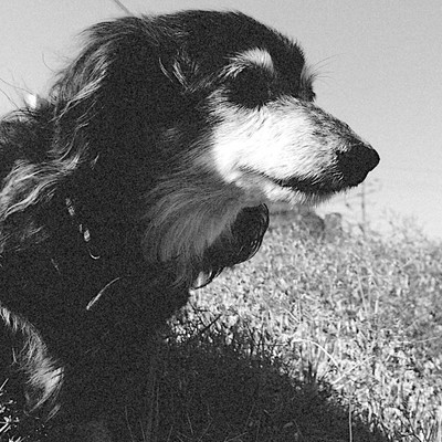 空が泣いてる木曜日のジャケット写真