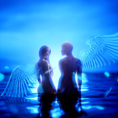 氷の翼のジャケット写真