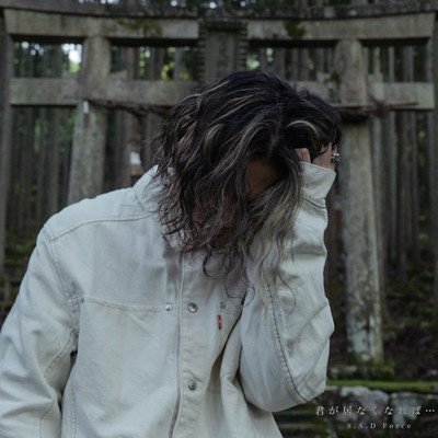 君が居なくなれば...のジャケット写真