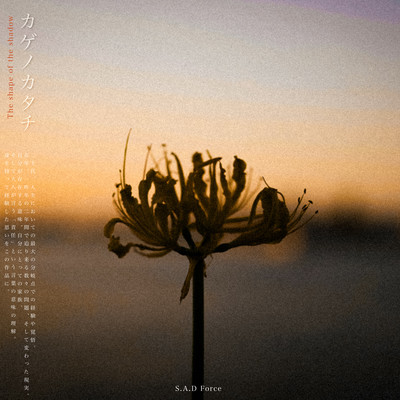 The shape of shadow Front Cover