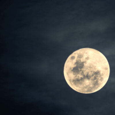 still love... Front Cover