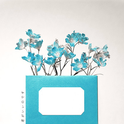 君がいいのですのジャケット写真