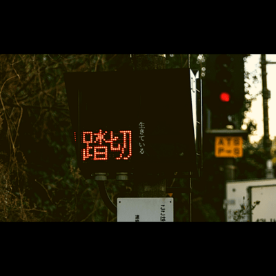 生きているのジャケット写真