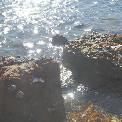 Ashiatoのジャケット写真