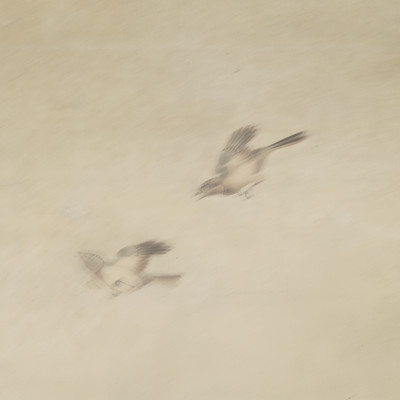 Sakahi (cheapWord Remix) Front Cover