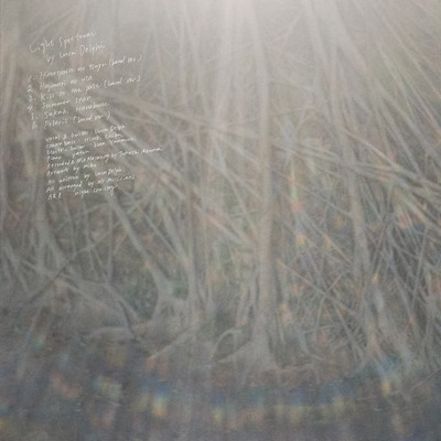 Light Spectrum Front Cover
