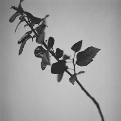 Mémoire (Piano Quintet Version) Front Cover