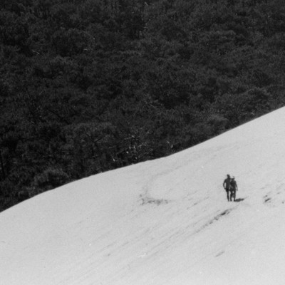 Shapesのジャケット写真