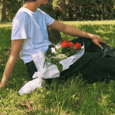 My Special Romance Front Cover