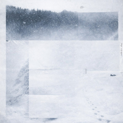 Tokyo Strayers Front Cover