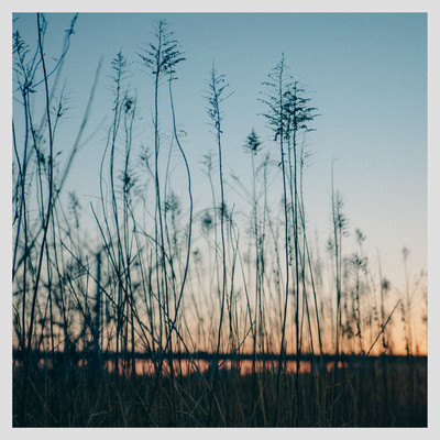 Fragments of Something Unusual Front Cover