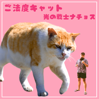 GOHATTO CAT Front Cover