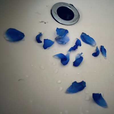 耽溺のジャケット写真