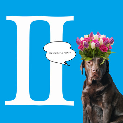 UNMASK aLIVE II (My mother is "CAT")のジャケット写真