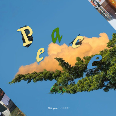 Peace Front Cover