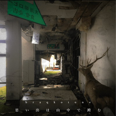 Omoideha Santyuude Yodomu Front Cover