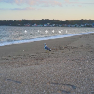 キミシキサガシのジャケット写真