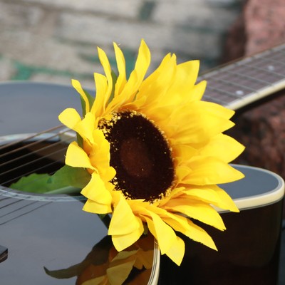 Road a Flower Front Cover