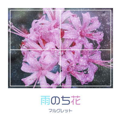 雨のち花のジャケット写真