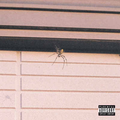 Nothing Front Cover