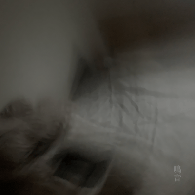 鳴音のジャケット写真