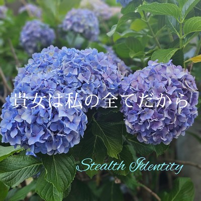 anatawawatasshinosubetedakara Front Cover