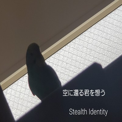 空に還る君を想うのジャケット写真