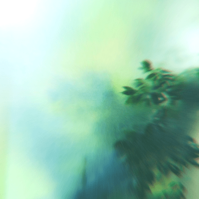 TENSHOのジャケット写真