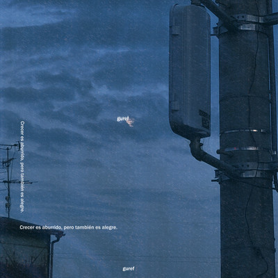 Otona ni natteiku. Front Cover