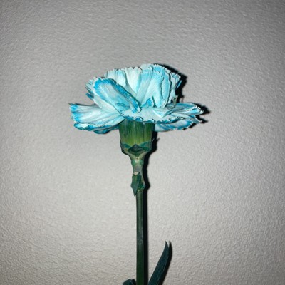 Baby Don't Cry (feat. TAKATORA) Front Cover