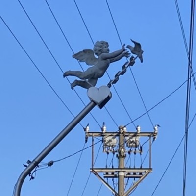 lonely girl Front Cover