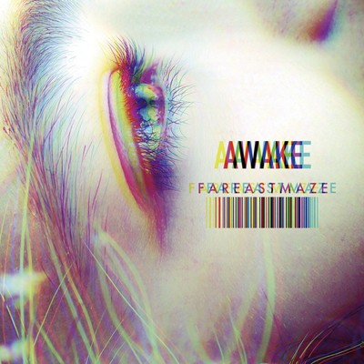 AWAKEのジャケット写真