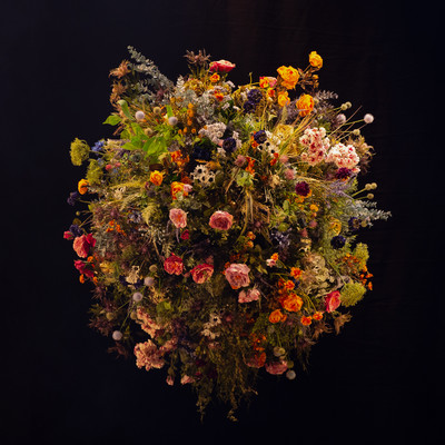 Daoko Live Unplugged in Sogetsu Hall Front Cover