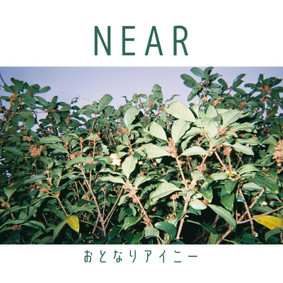 NEARのジャケット写真