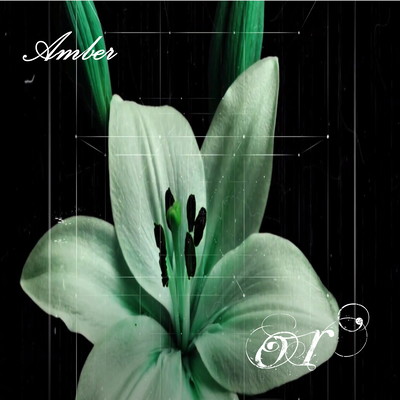 Amber Front Cover