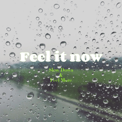 Stay a while Front Cover